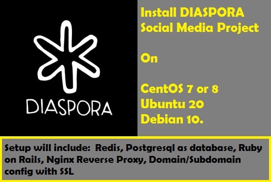 Gig Preview - Install diaspora social media project