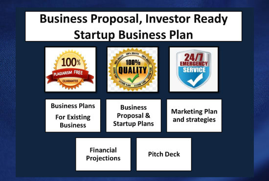 Gig Preview - Prepare an investor ready startup business plan