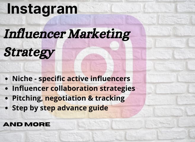 Gig Preview - Find best instagram influencer for your niche