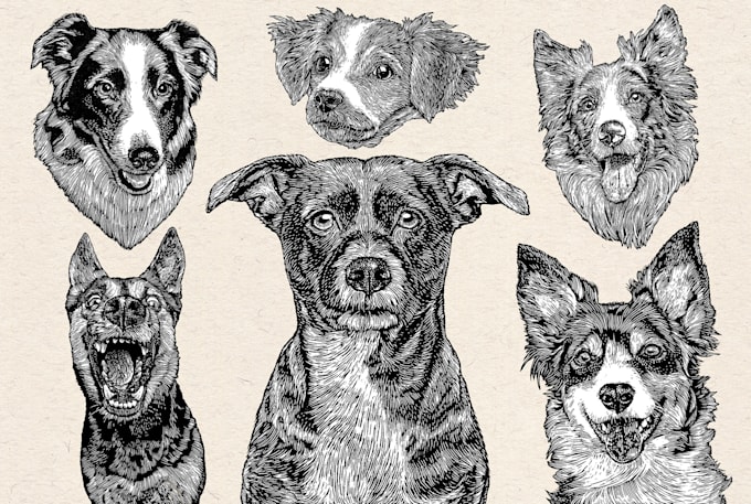 Gig Preview - Make a pet portrait illustration with my style