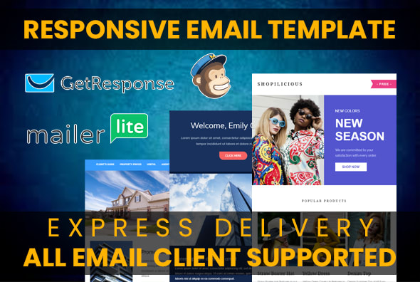 Gig Preview - Design a responsive email template or email signature