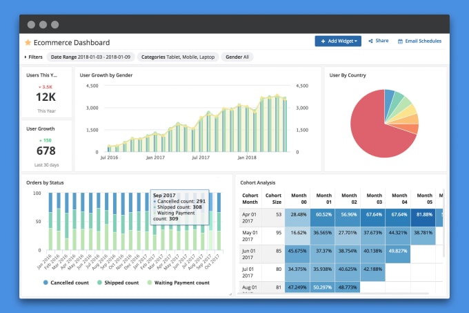 Gig Preview - Do data analysis and reporting