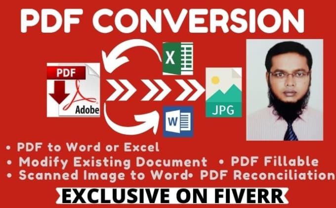 Gig Preview - Do PDF conversion, pdf to word, or excel