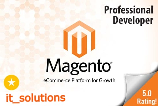 Gig Preview - Fix any bug, develop, customize or maintain magento 2 store