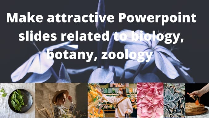 Gig Preview - Create attractive powerpoint slides  in biology, botany, and zoology