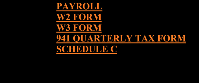 Gig Preview - Prepare payroll statement for sba ppp loan