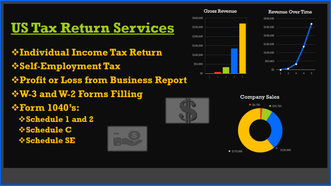 Gig Preview - Do full tax return report and filling with pl report