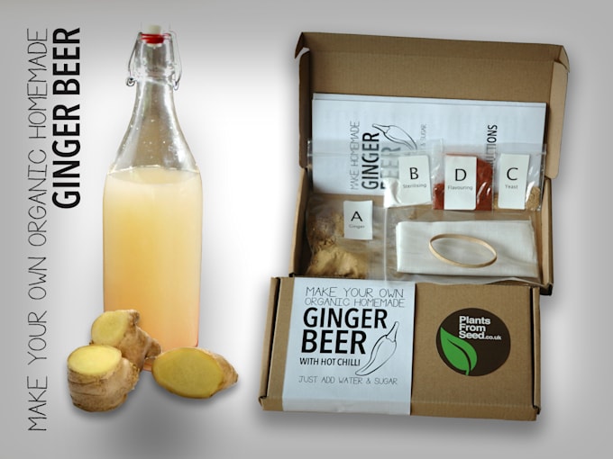 Send you an organic ginger beer with chilli kit by Mb2pro