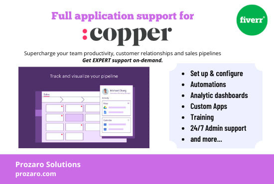 Gig Preview - Provide full support for copper CRM