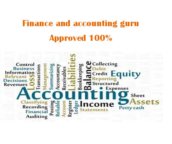 Gig Preview - Work on accounting and finance tasks