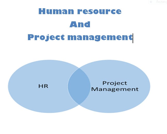 Gig Preview - Do human resource work perfectly