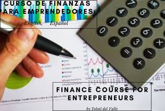 Gig Preview - Teach you finance and accounting for entrepreneurs and small business