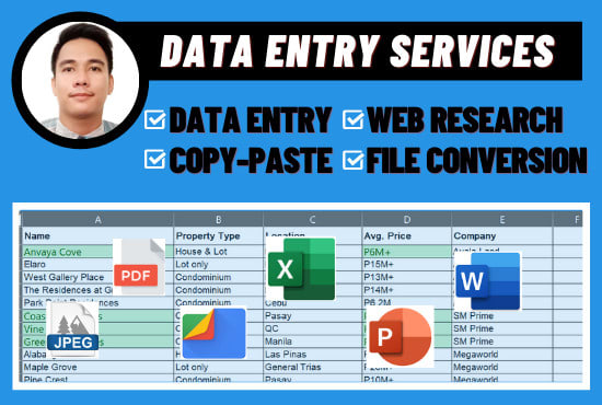 Gig Preview - Do all types of ms excel data entry and web research