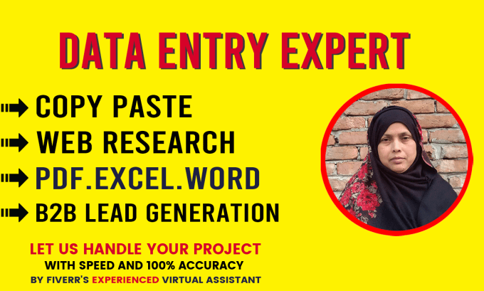 Gig Preview - Do fastest data entry excel, internet research, data mining assistant