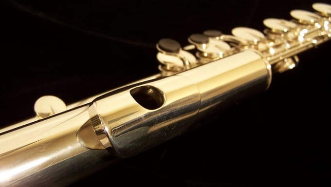 Gig Preview - Record bass flute for your project