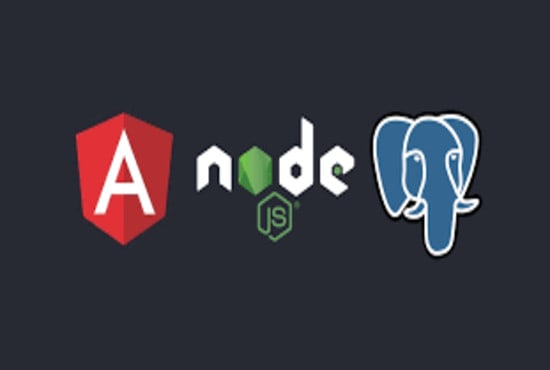 Gig Preview - Develop professional web app using angular, nodejs, mongodb or postgresql