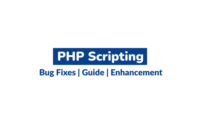 Gig Preview - Write code in PHP