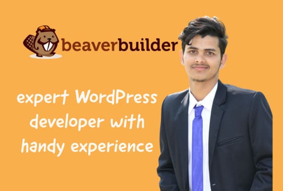 Gig Preview - Design a website using beaver builder