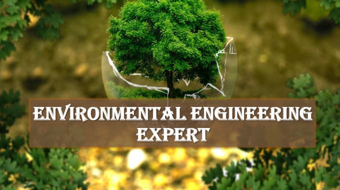 Gig Preview - Do environmental engineering projects