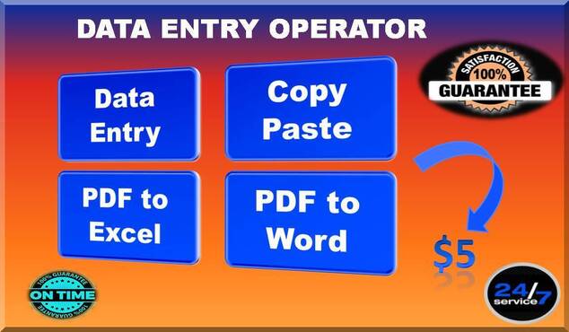 Gig Preview - Provide fastest data entry and copy paste work