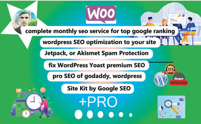 Gig Preview - Fix wordpress SEO optimization best quality service 24h