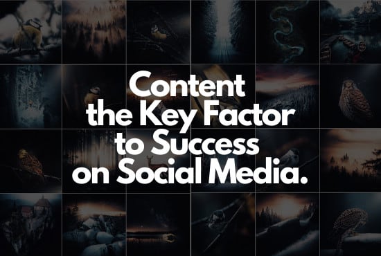 Gig Preview - Create a content strategy for your social media