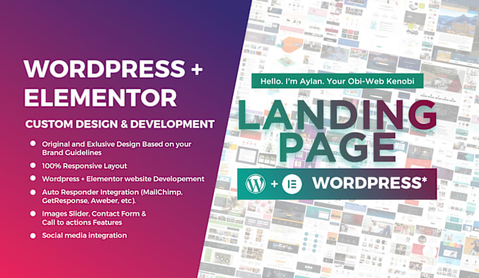 Gig Preview - Design and develop wordpress elementor landing page