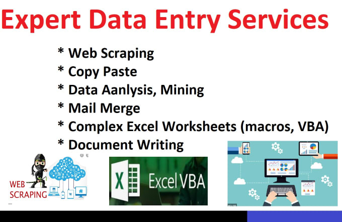 Gig Preview - Do data entry excel, word, copy paste, web search virtual assistant pdf to excel