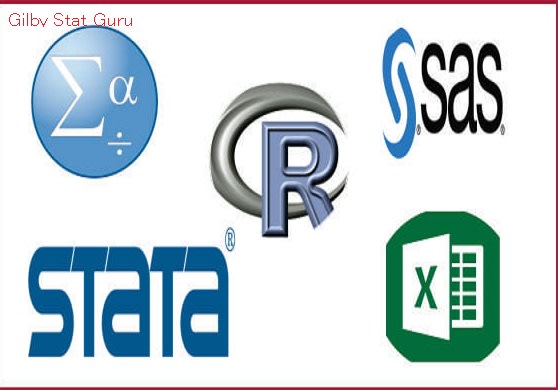 Gig Preview - Do statistical data analysis  using spss,python,stata,excel, r and minitab