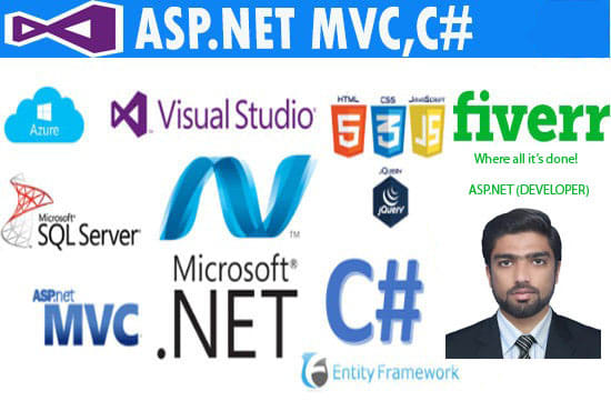 Gig Preview - Build asp net mvc asp net core and angular professional web applications