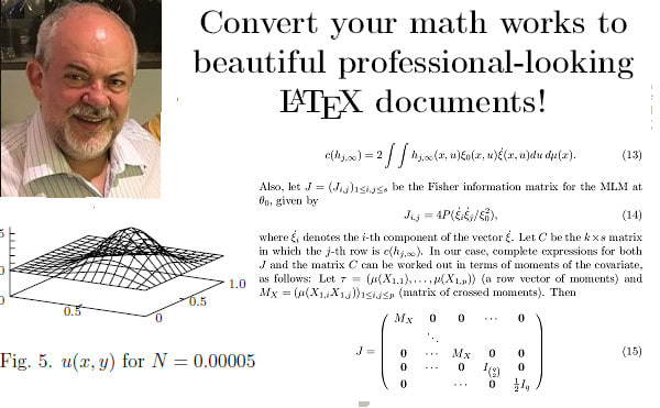 Gig Preview - Convert your math works to beautiful latex documents