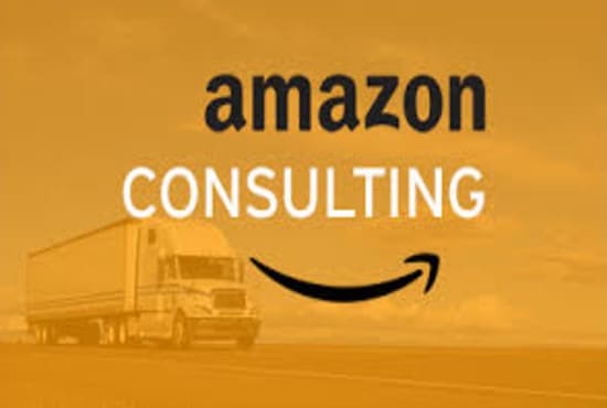 Gig Preview - Be your expert amazon consultant