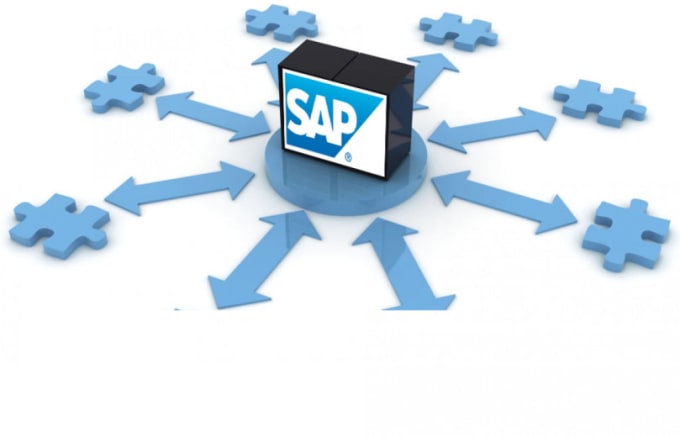 Gig Preview - Do sap integration with non sap applications