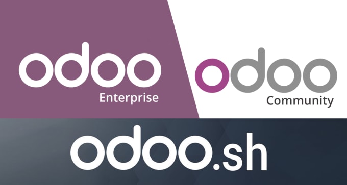 Gig Preview - Setup odoo enterprise with custom module development, with linux, windows, mac