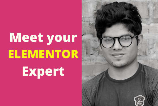 Gig Preview - Be your elementor expert and design a modern wordpress website by elementor pro