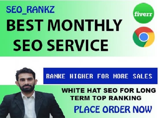 Gig Preview - Do complete monthly SEO service for high ranking