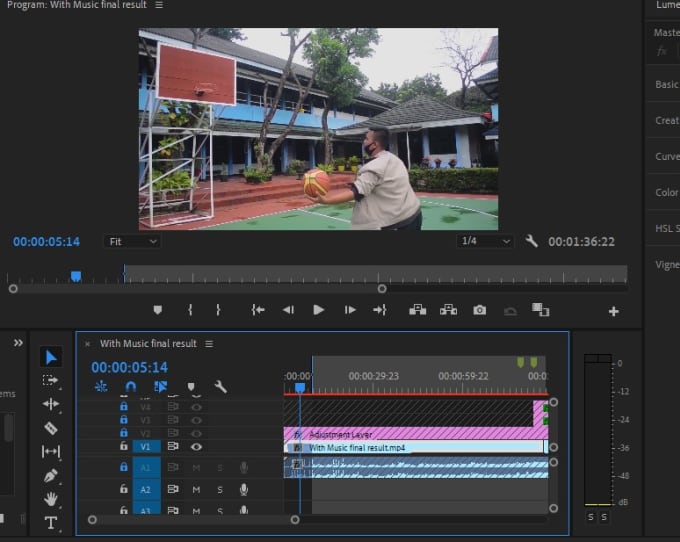 Gig Preview - Do trim and cut video or offline editing