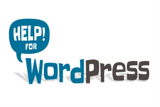 Gig Preview - Design and develop a stunning professional wordpress website