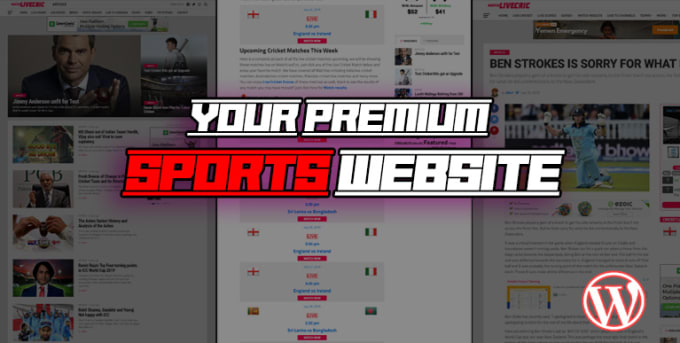 Gig Preview - Design your wordpress sports website from scratch