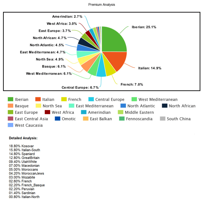 Gig Preview - Analyze your ancestry dna