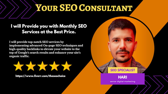 Bestseller - do monthly seo service for your website