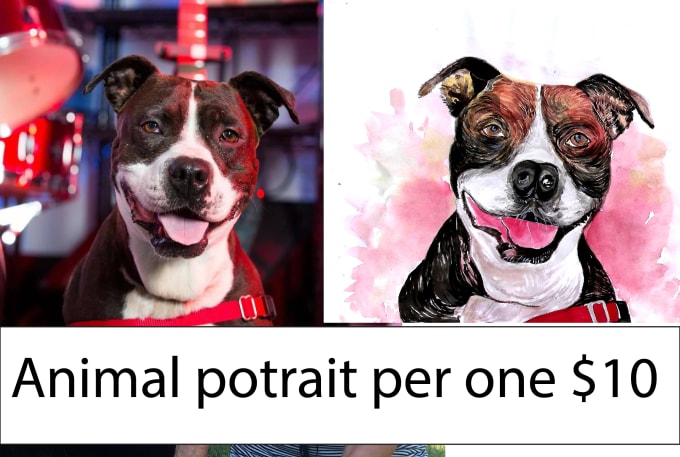 Gig Preview - Draw dog and animal watercolor portrait for you