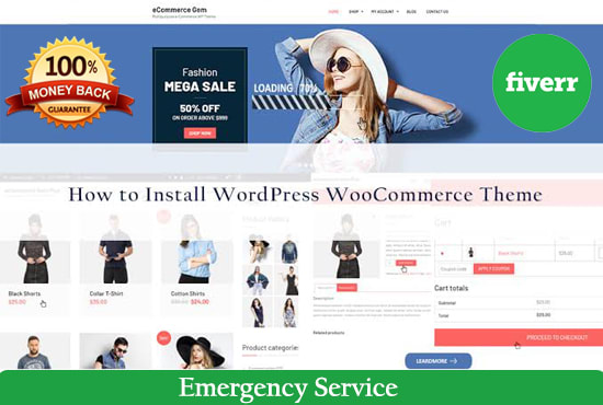 Gig Preview - Do customize and develop any wordpress woocommerce website