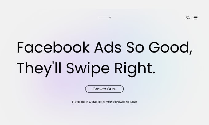 Gig Preview - Run facebook ads campaign, fb advertising