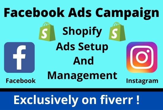 Gig Preview - Setup shopify facebook ads campaign for grow business