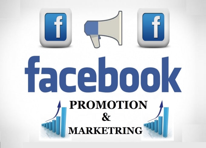 Gig Preview - Promote your business page by unique facebook marketing