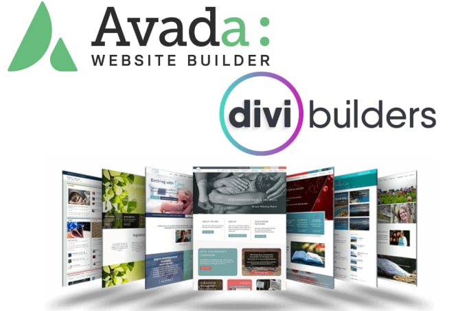 Gig Preview - Install and be your divi, avada theme expert and customization