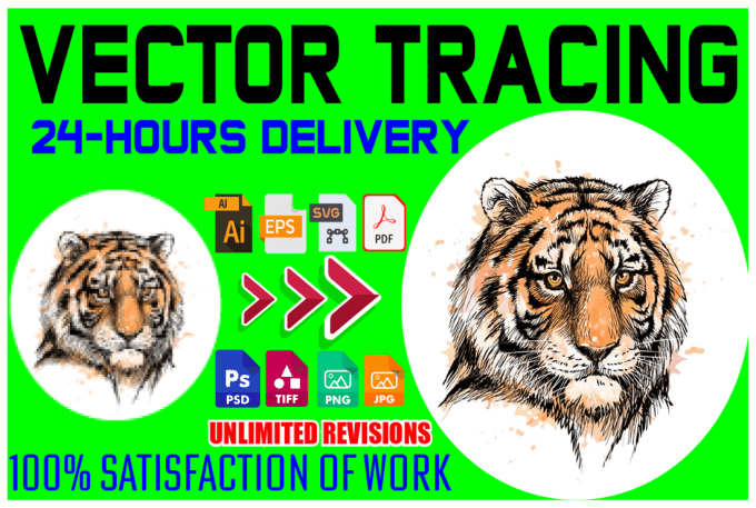 Gig Preview - Vector tracing, vector logo art, raster to vector 24 hours