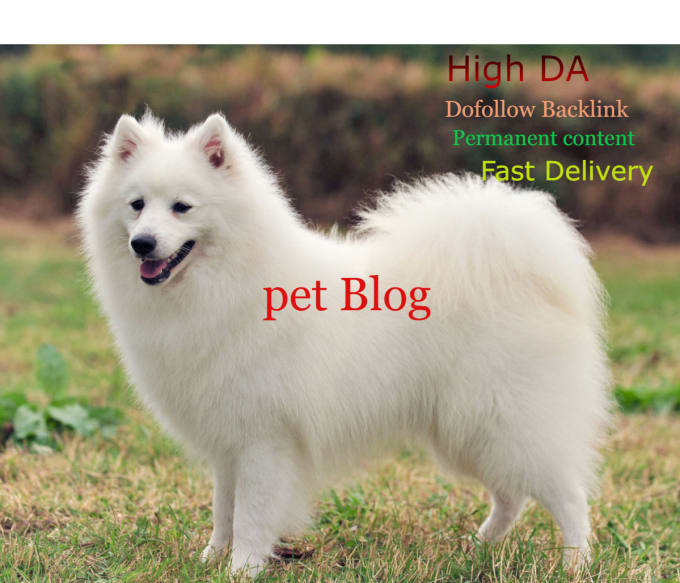 Gig Preview - Provide guest post on pet and dog high quality da 40