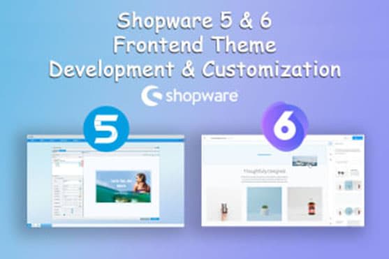 Gig Preview - Fix the frontend CSS issues of shopware shop